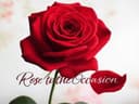 Rose to the Occasion Logo